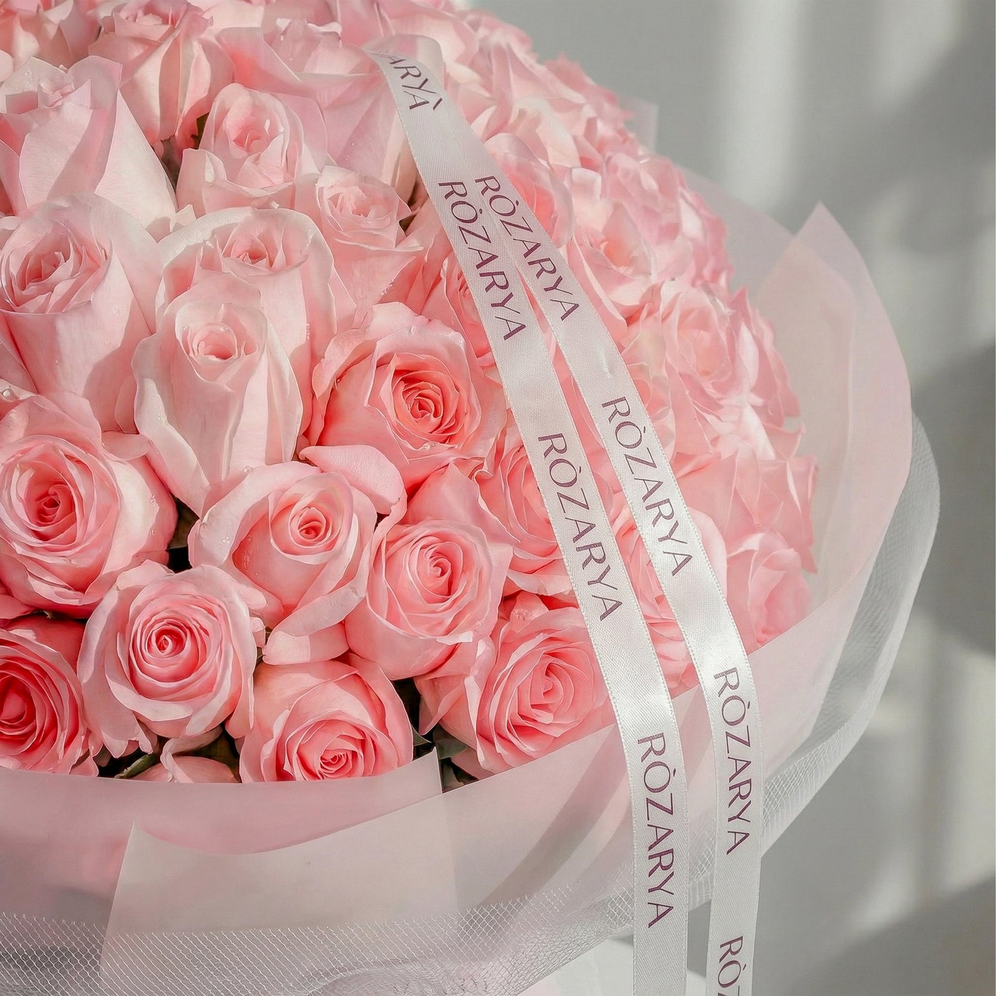 Velvet Horizon Roses