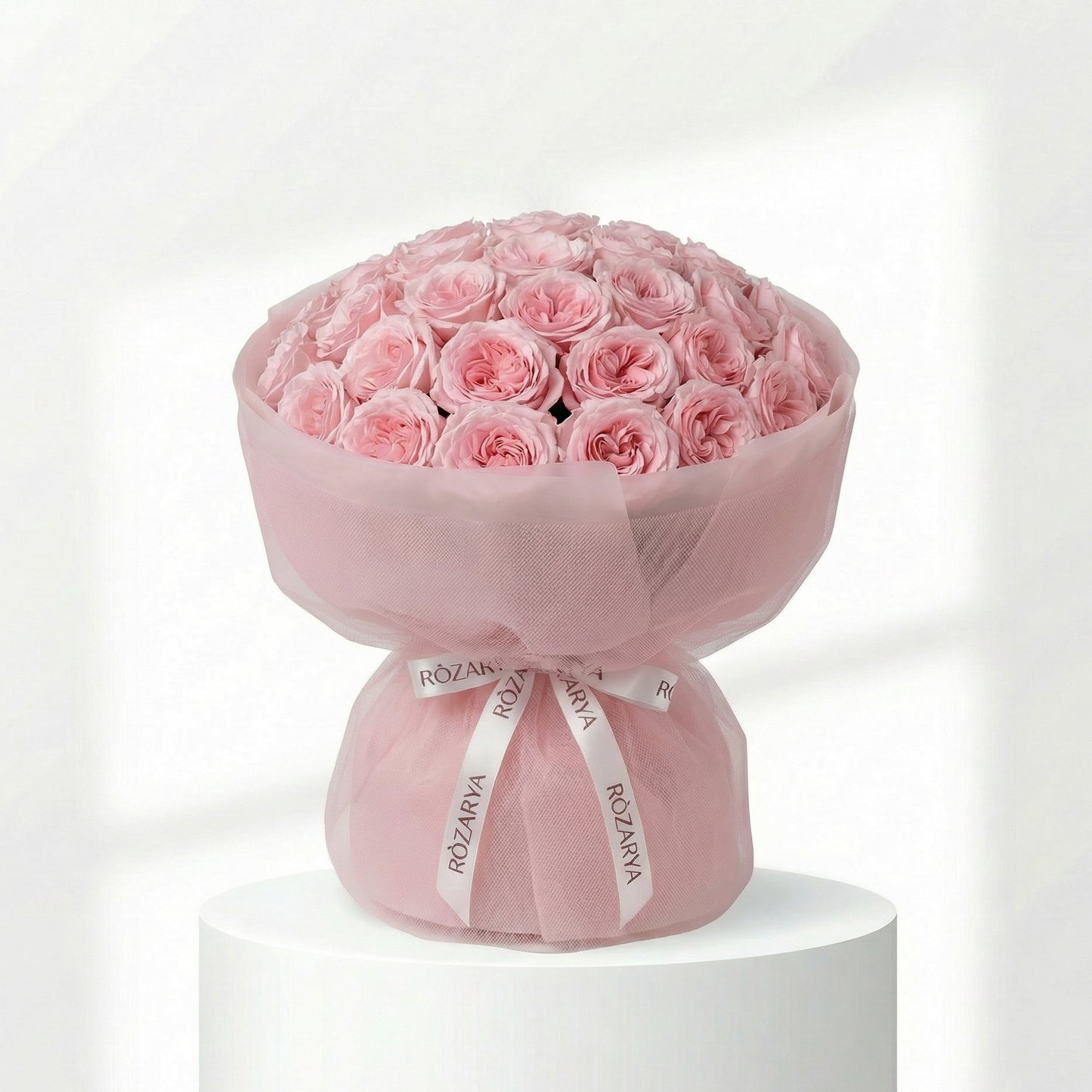 Blush Rose Reverie