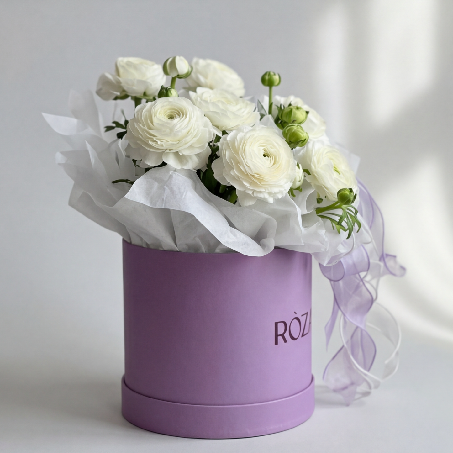 The Lilac Cloud Ranunculus