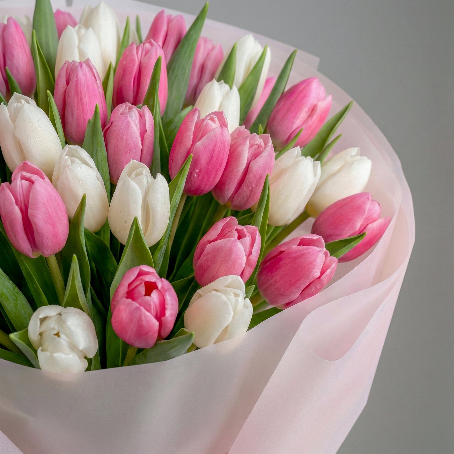 The Blush and Ivory Tulip Abundance