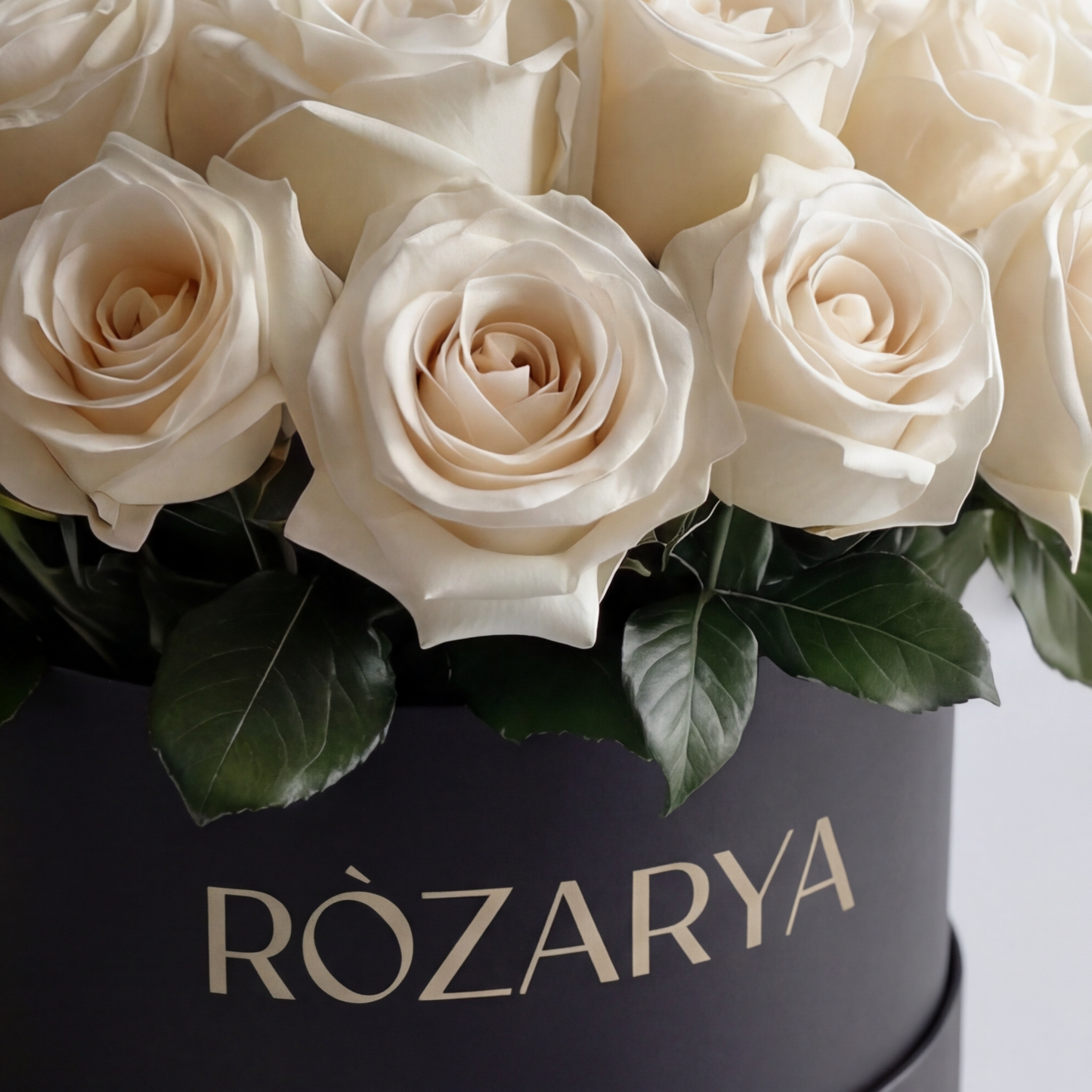 The Modern Elegance Hat Box