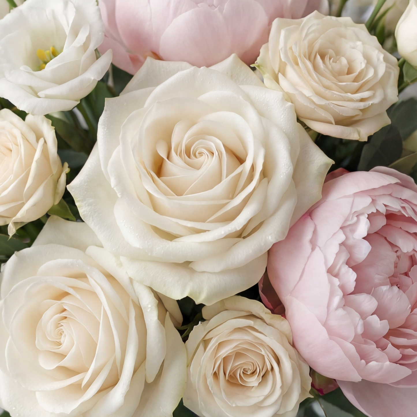 Forever Begins in Blush and Cream