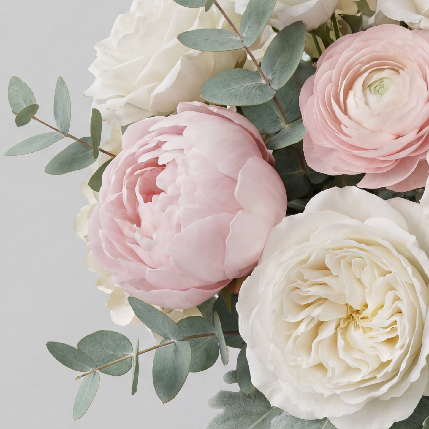 Ivory Waltz in Bloom