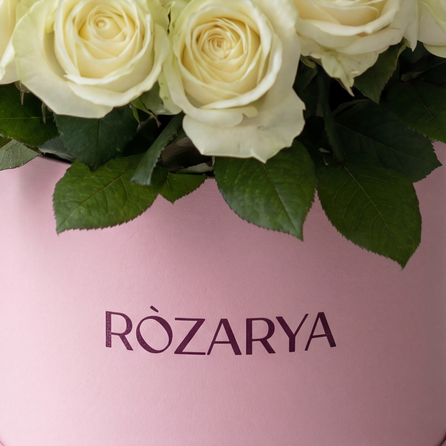 The Ivory Cloud Masterpiece