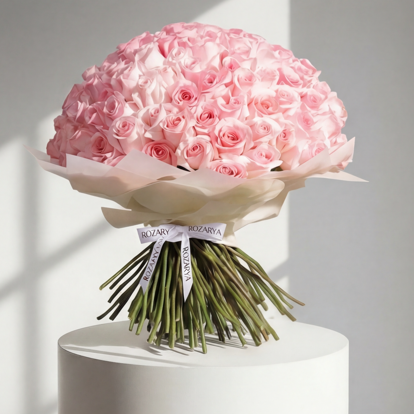 The Hundred Rose Statement