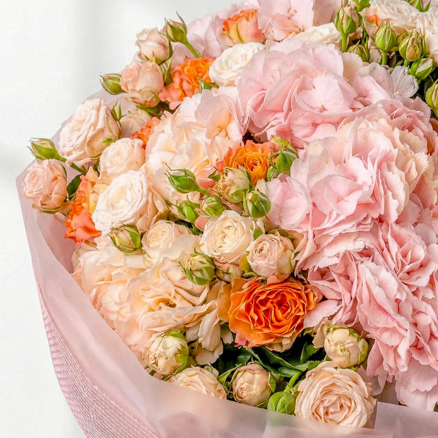 Peach Blush Harmony