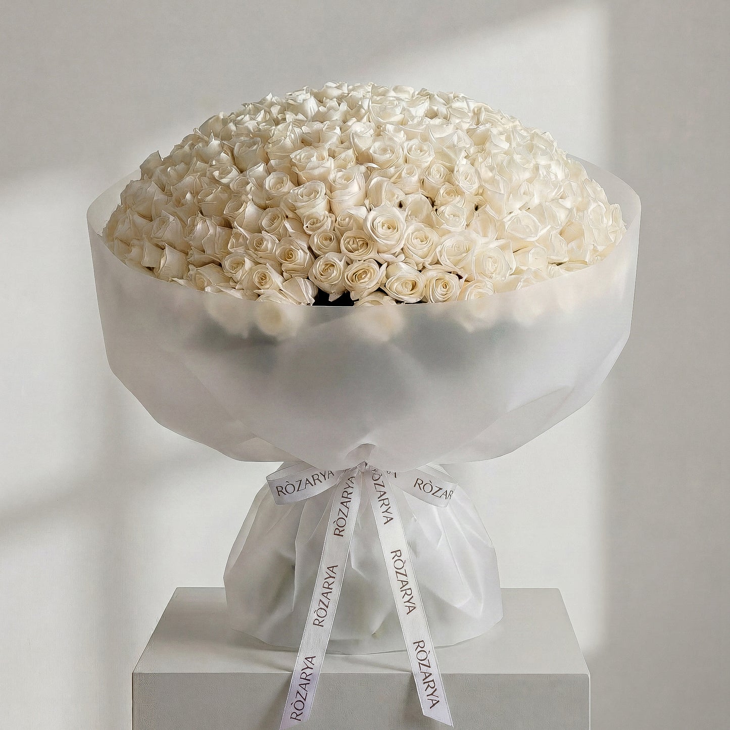 The Majestic Ivory Rose Hemisphere 301 white rose