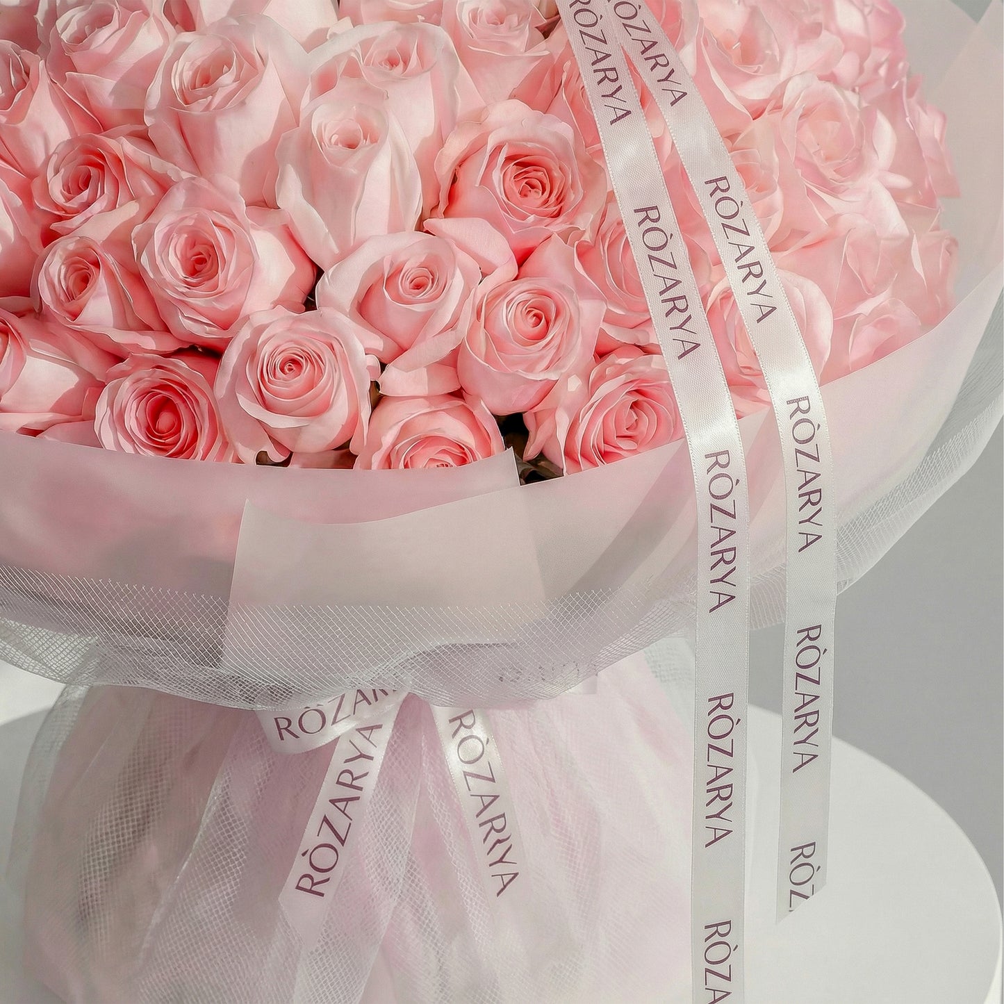 Velvet Horizon Roses