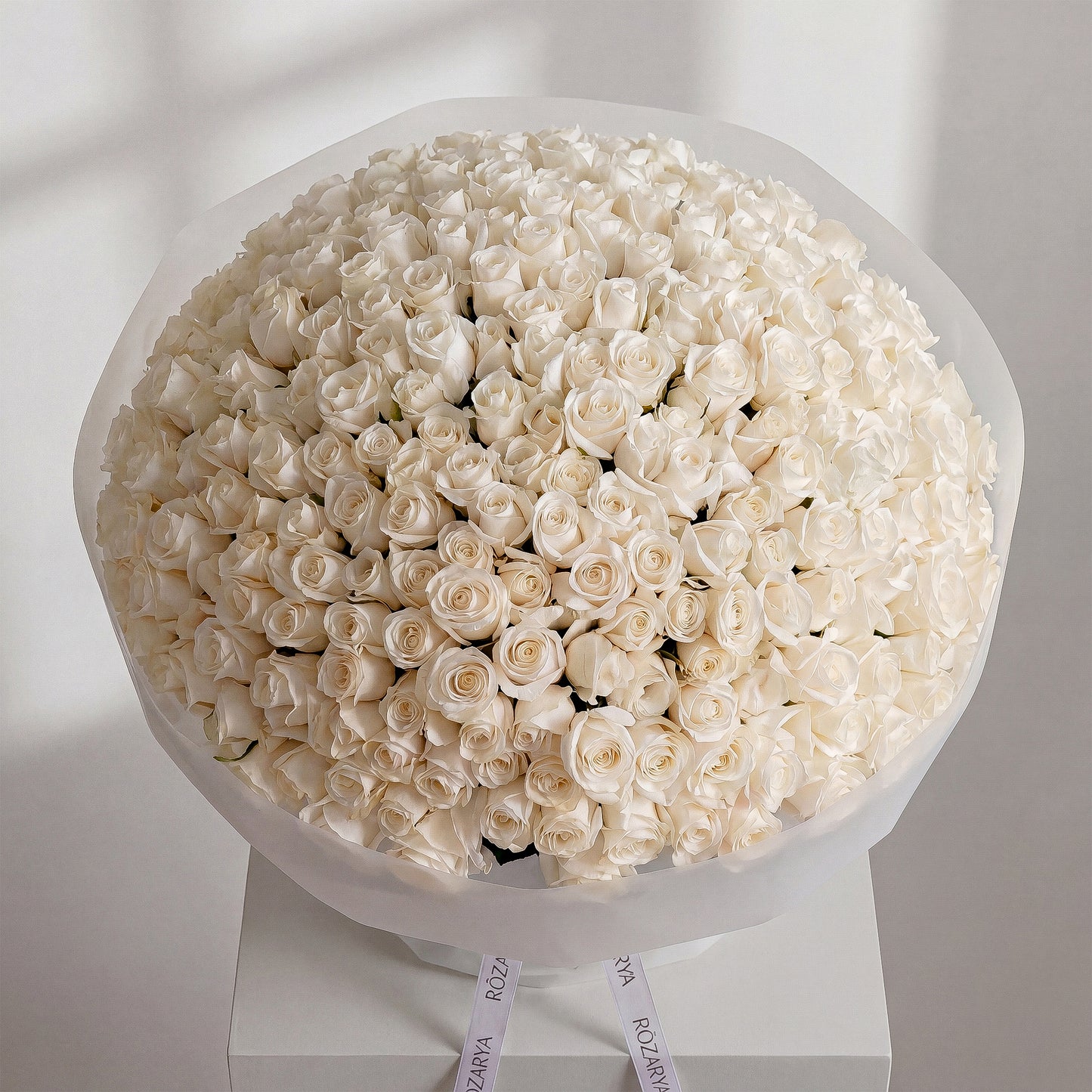 The Majestic Ivory Rose Hemisphere 301 white rose