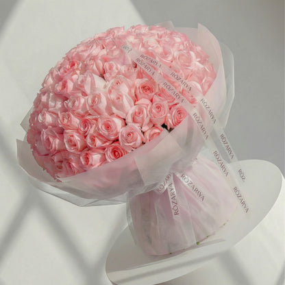 Velvet Horizon Roses