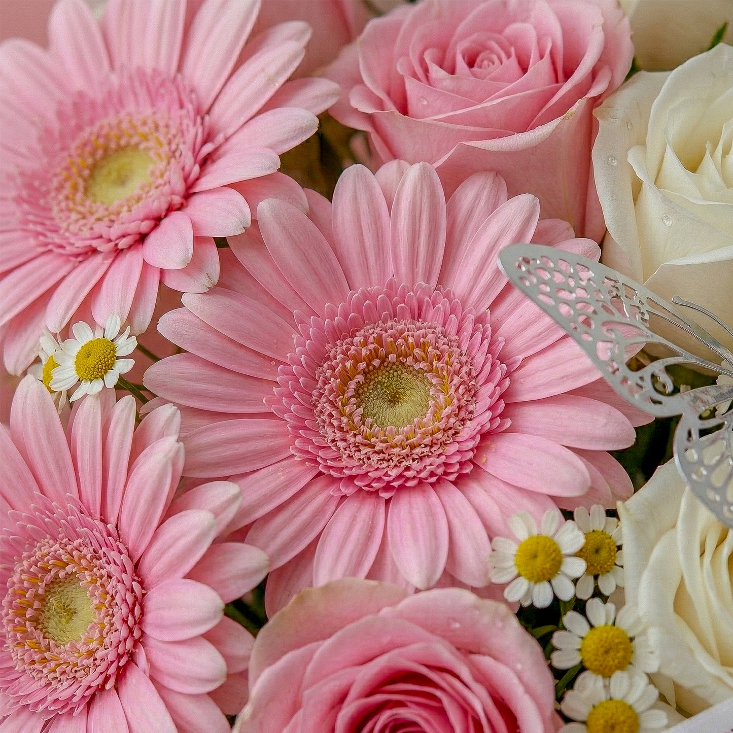 The Charming Daisy Bouquet