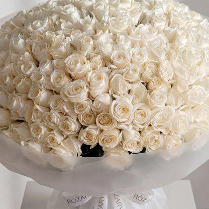 The Majestic Ivory Rose Hemisphere 301 white rose