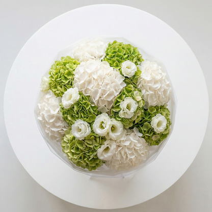 The Green & White Hydrangea Serenity