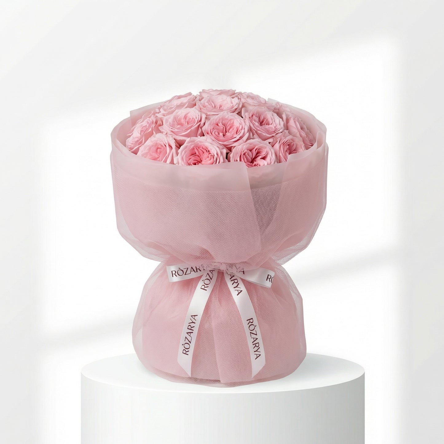 Blush Rose Reverie