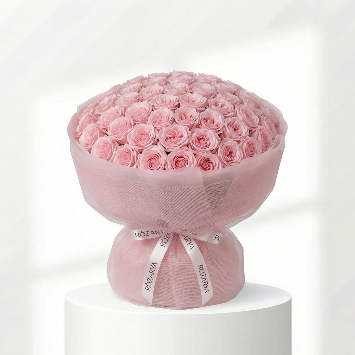 Blush Rose Reverie