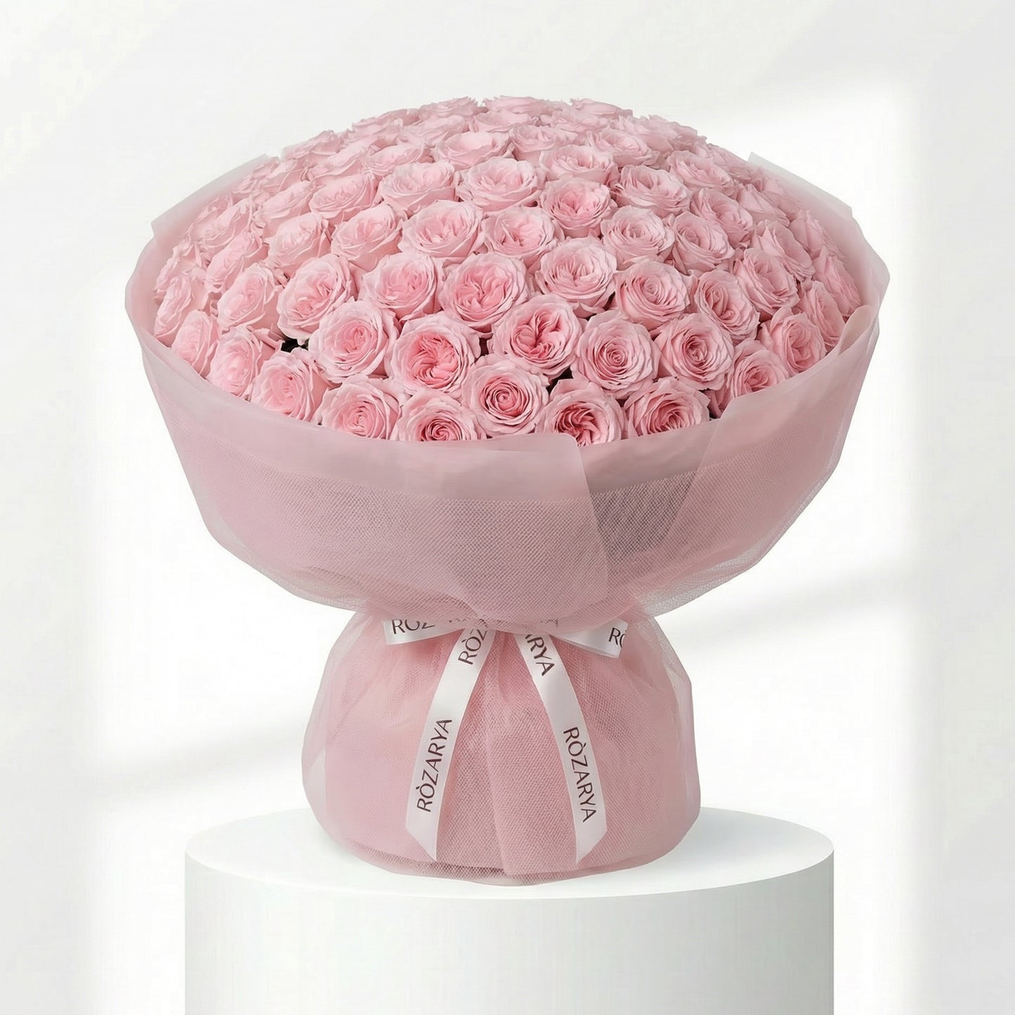 Blush Rose Reverie
