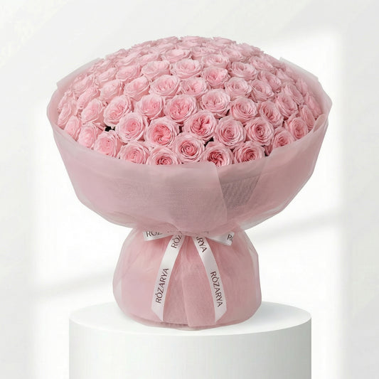 Blush Rose Reverie