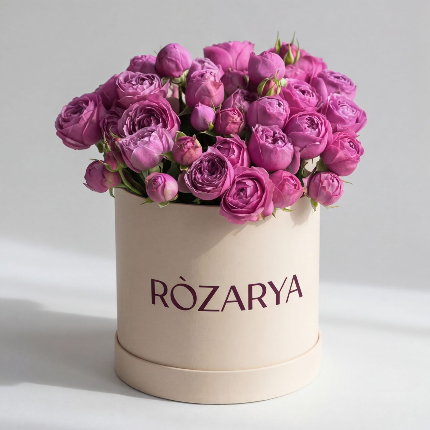 Rosé Symphony in Cream and Bloom