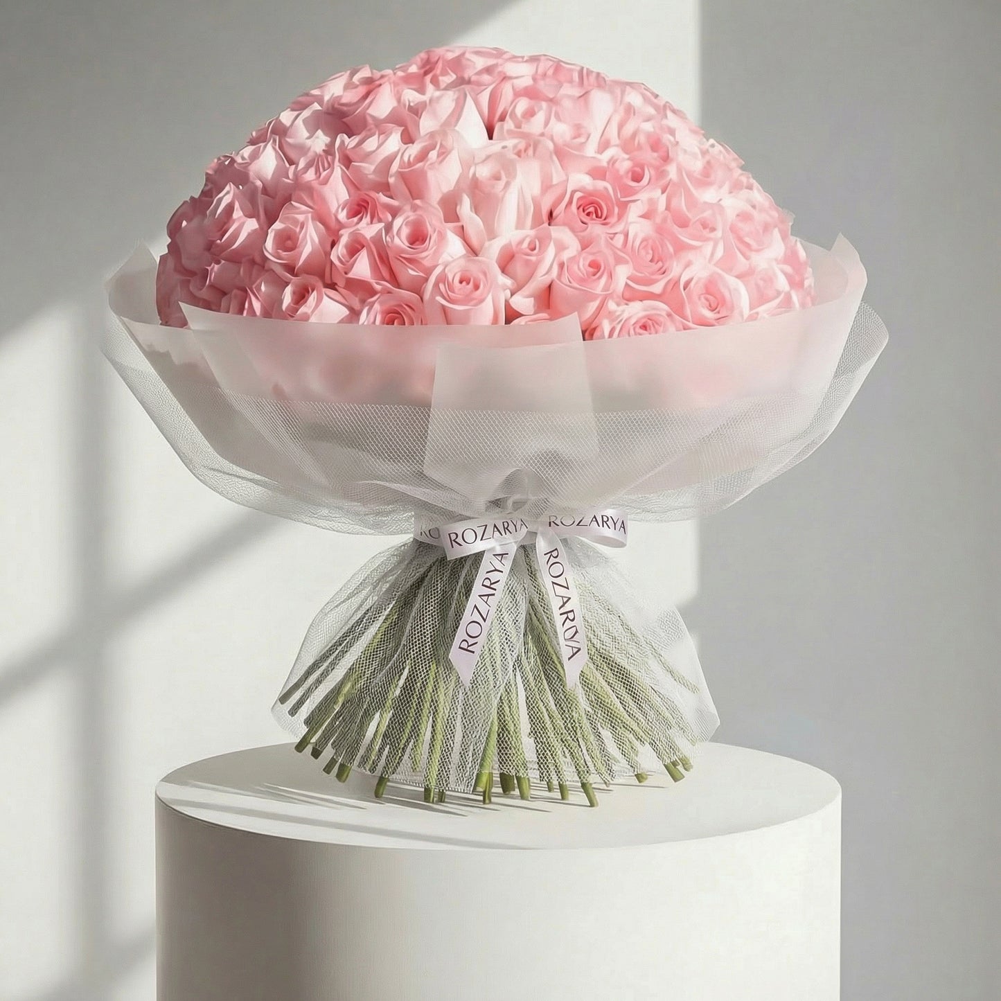 Velvet Horizon Roses