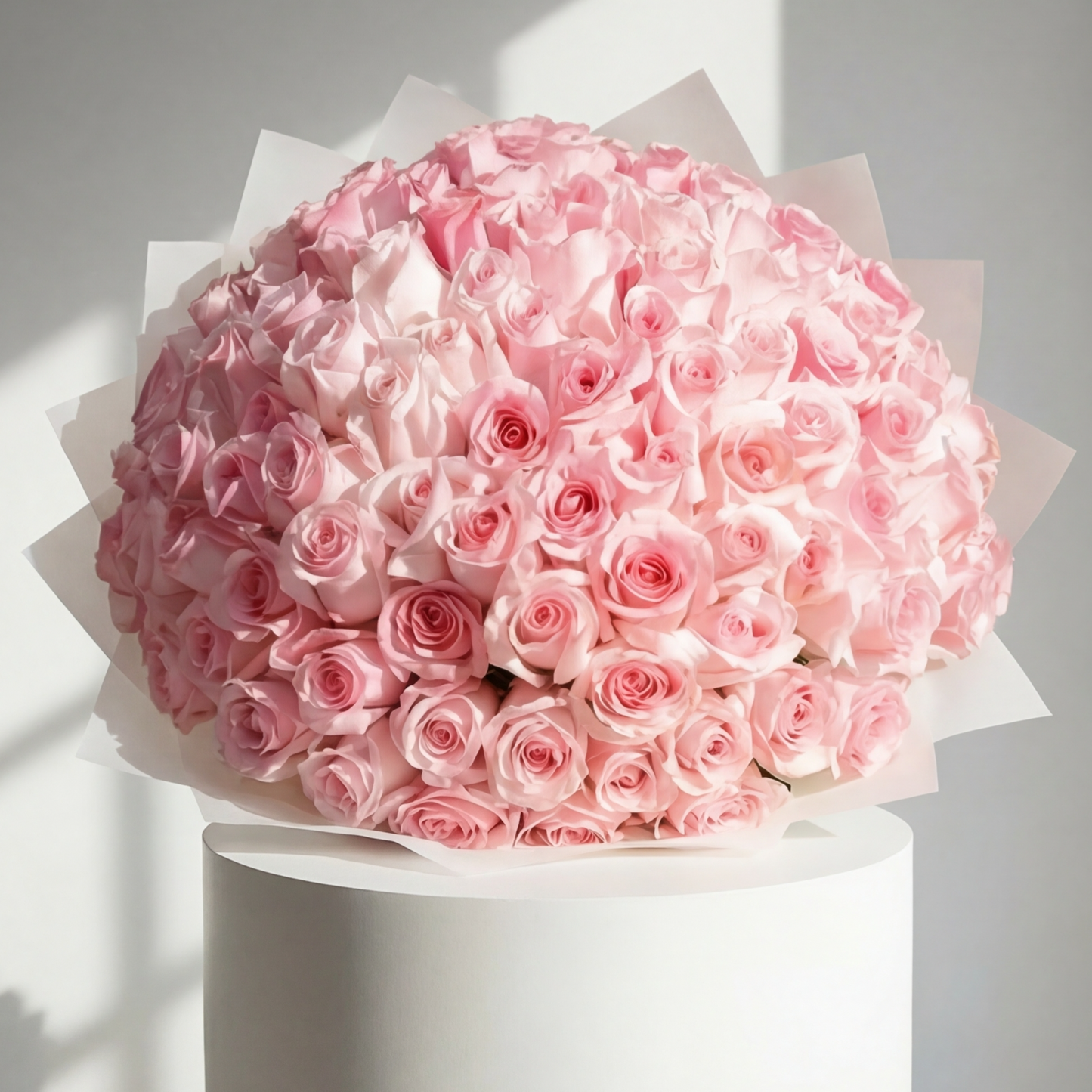 The Hundred Rose Statement