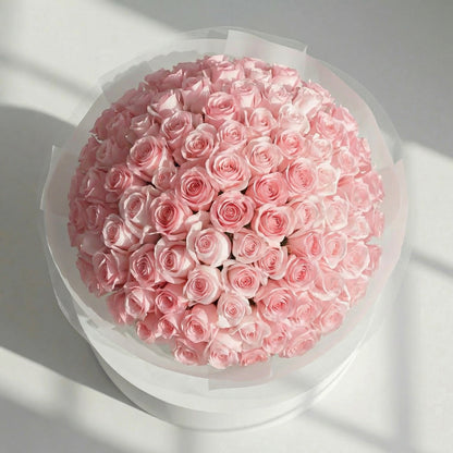 Velvet Horizon Roses