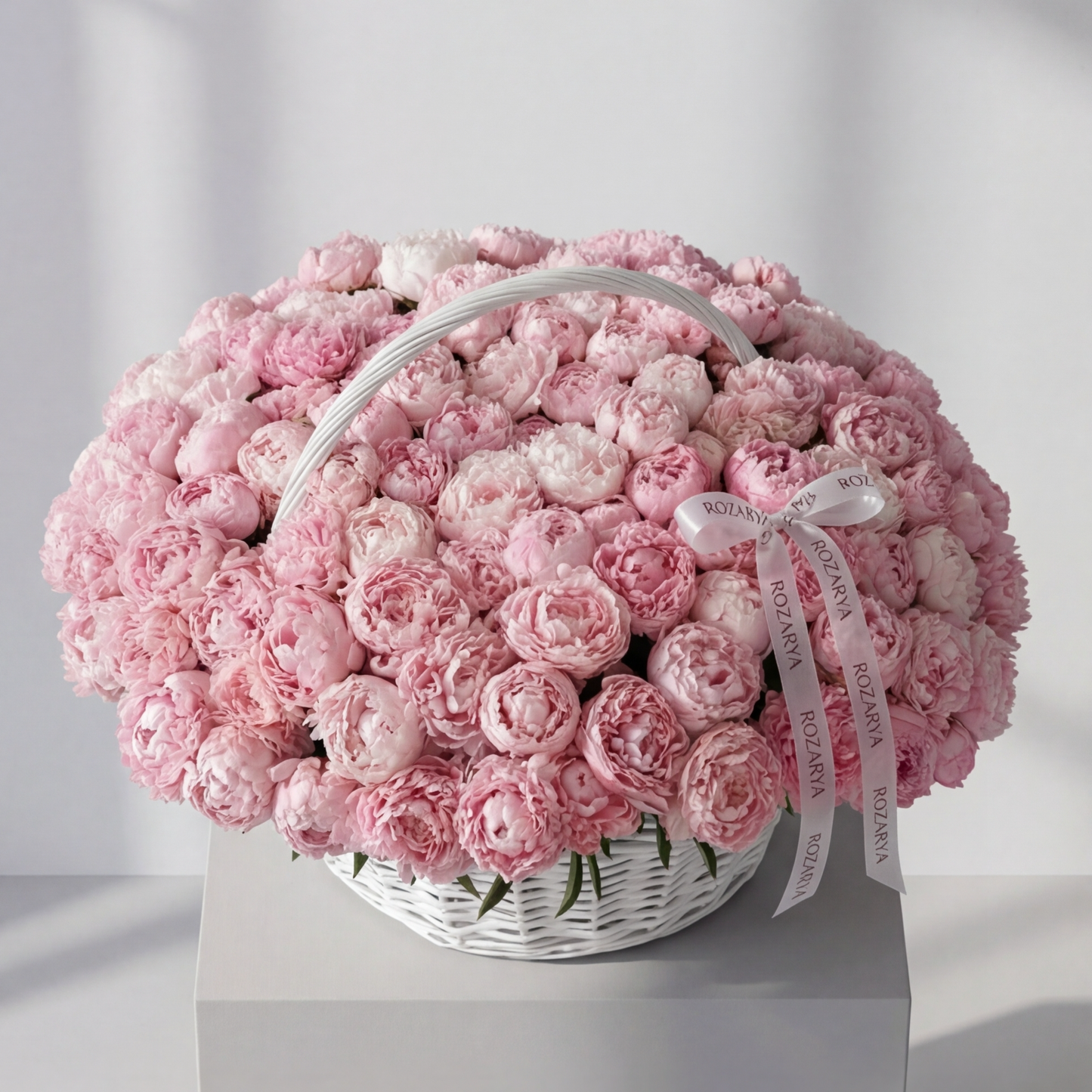 The Blush Rose and Carnation Cloud