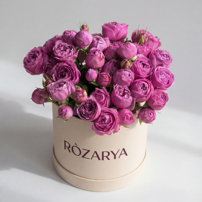 Rosé Symphony in Cream and Bloom