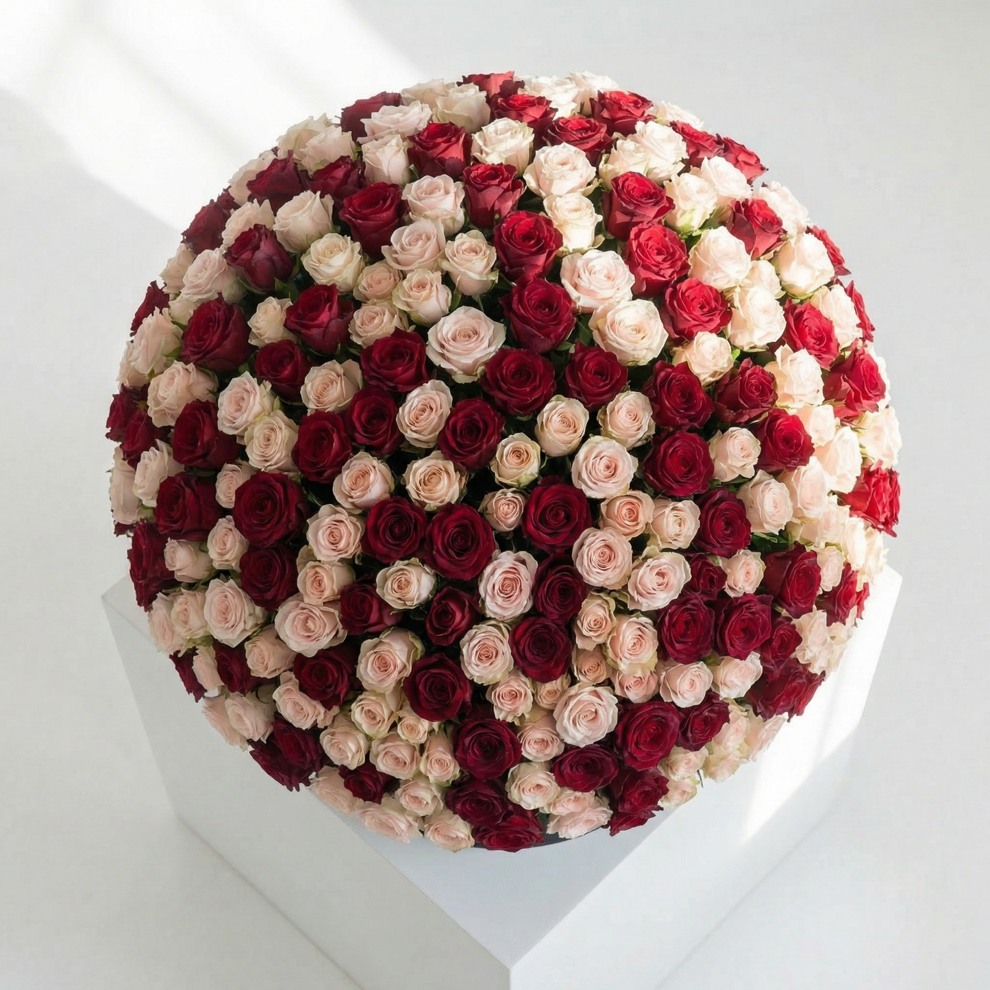 The Grande Romance: Signature Rose Hatbox (Red & Blush Mix)