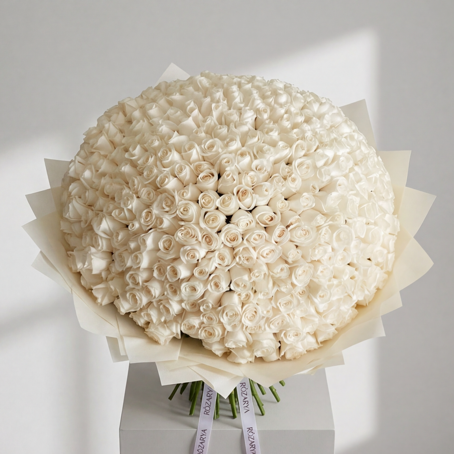 The Majestic Ivory Rose Hemisphere