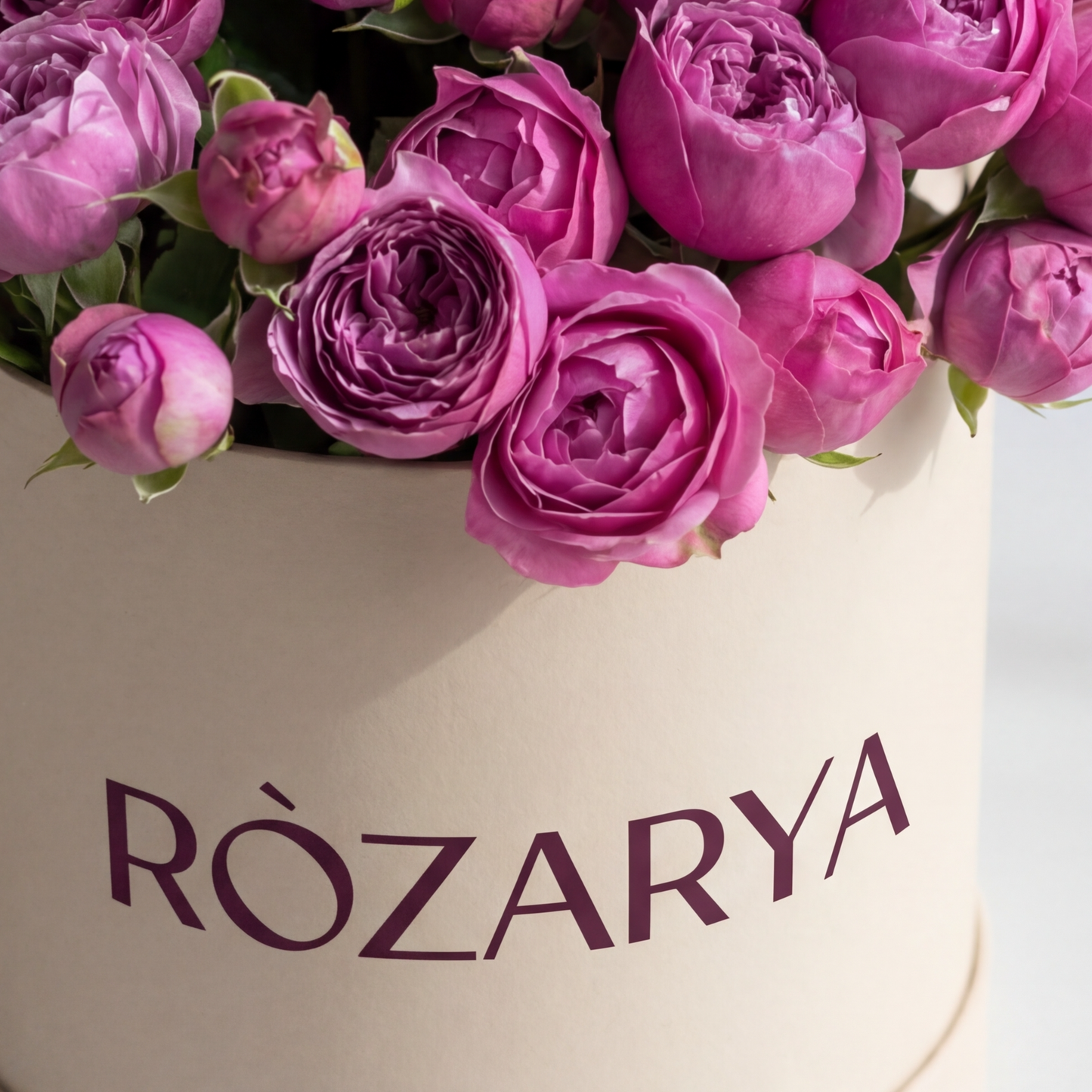 Rosé Symphony in Cream and Bloom