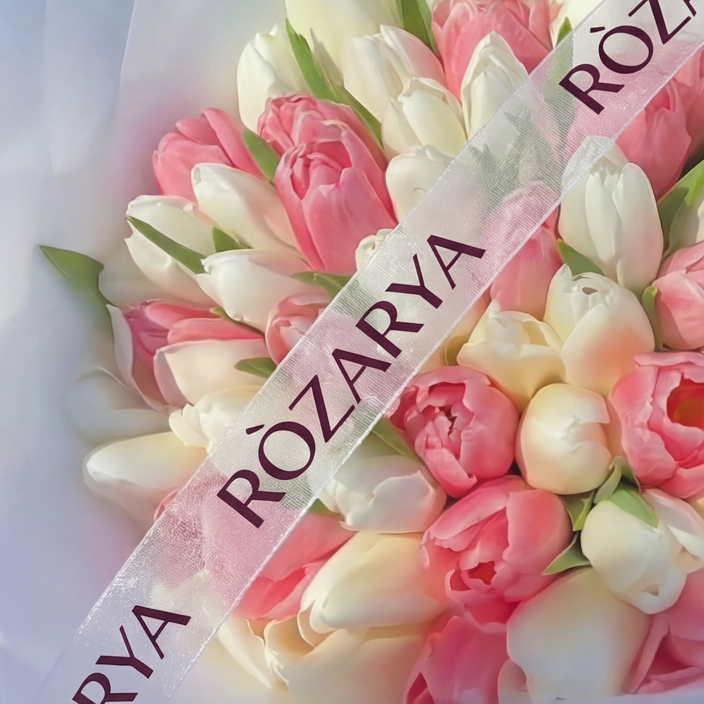 The Blush and Ivory Tulip Abundance