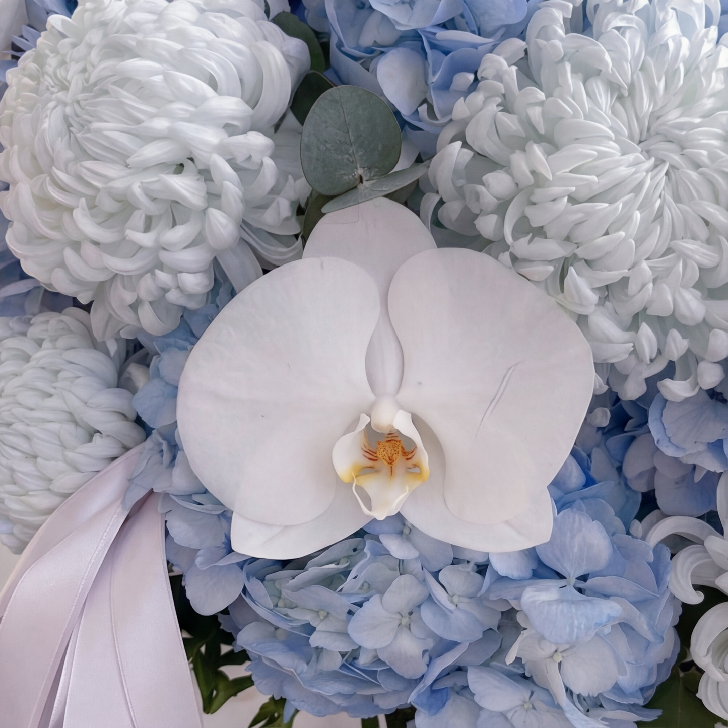 The Sky Blue Hydrangea and Orchid Cloud