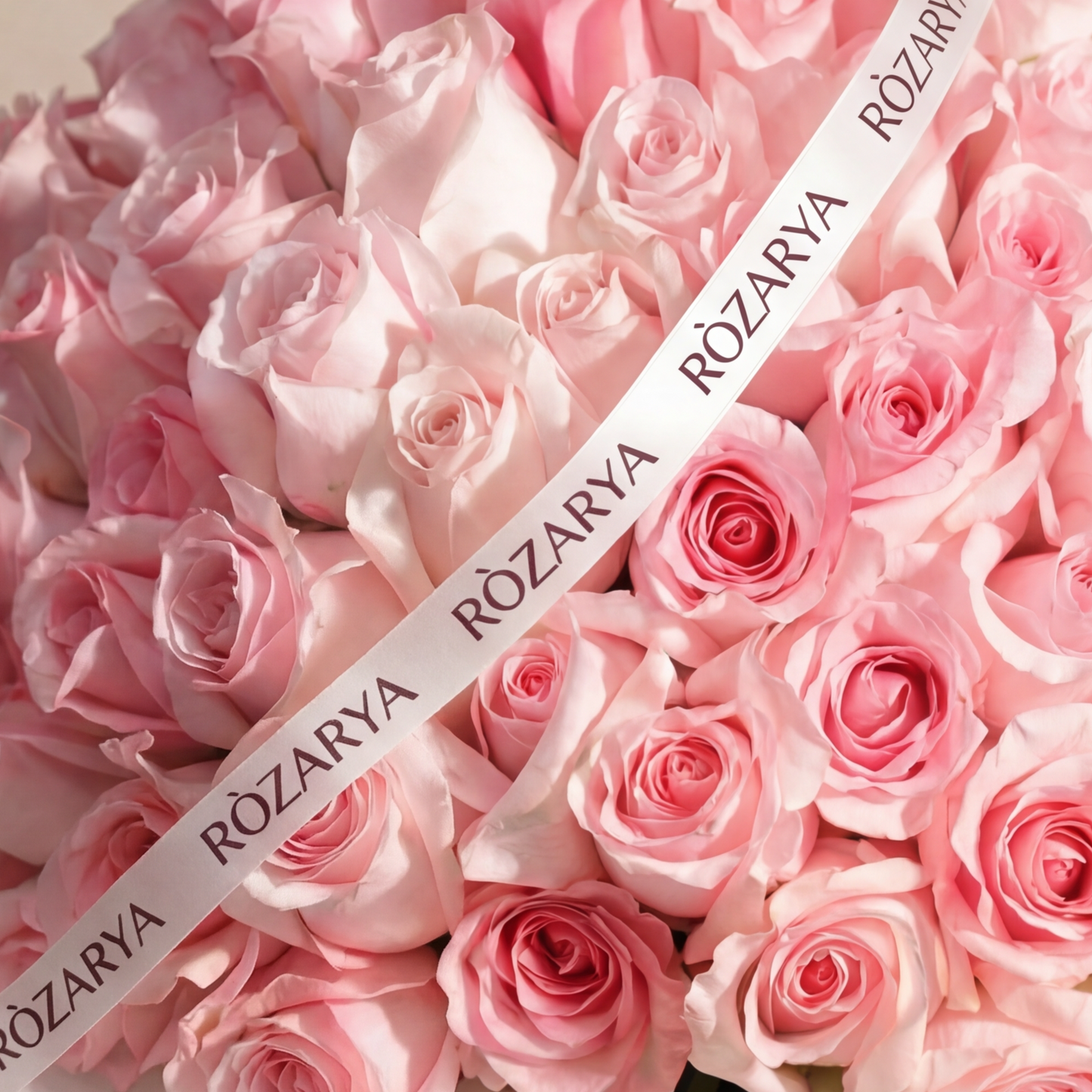 The Hundred Rose Statement