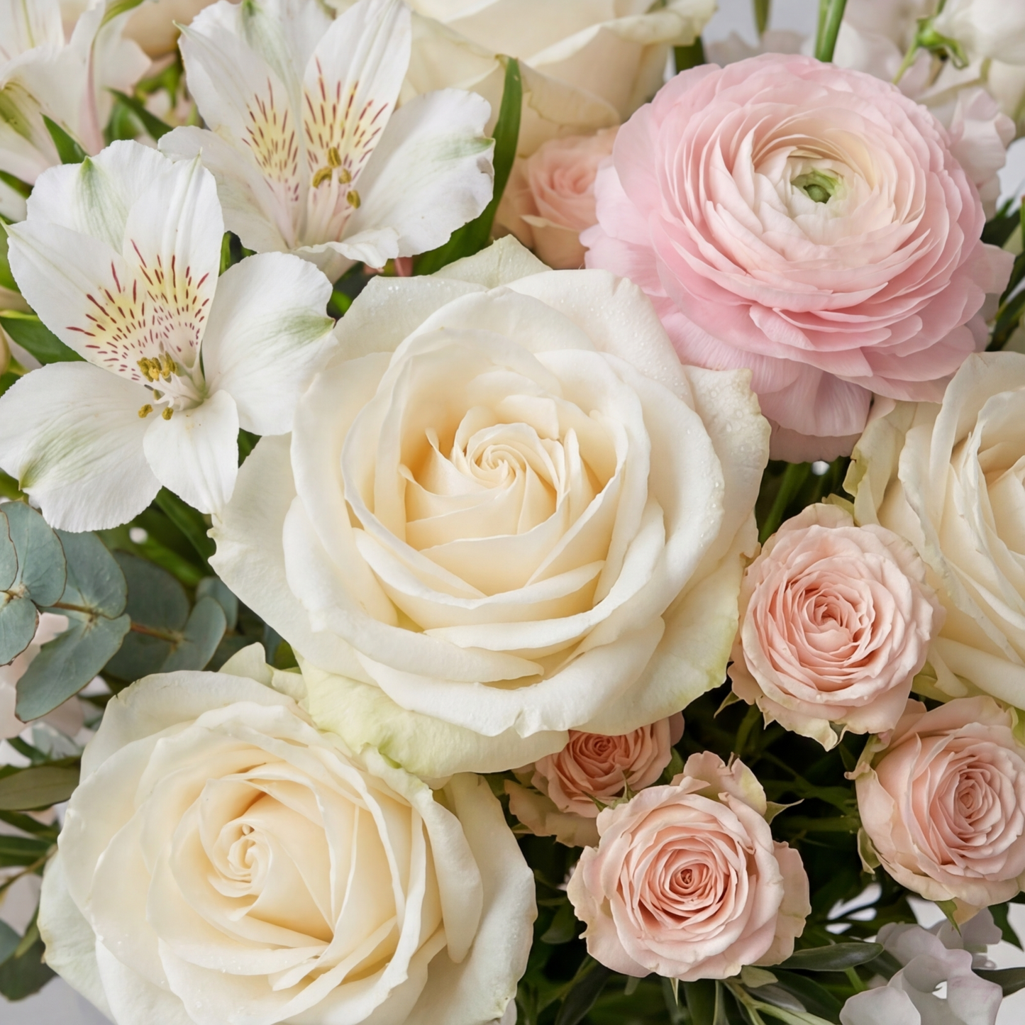 A Vow of Blush in Blooming Light