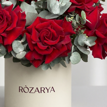 The Scarlet Devotion Box