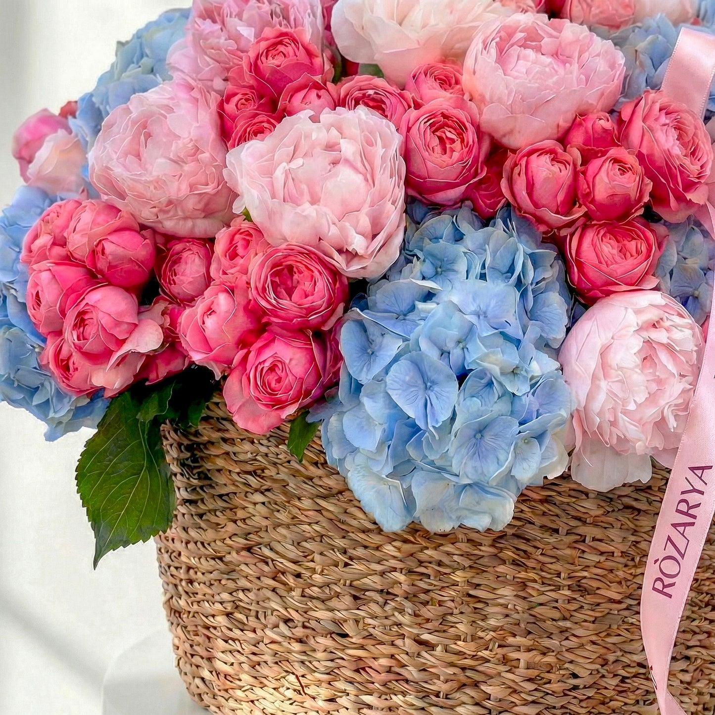 Rosy Skies & Blue Hydrangeas