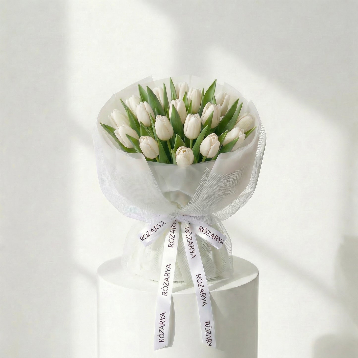 Ivory Tulip Purity