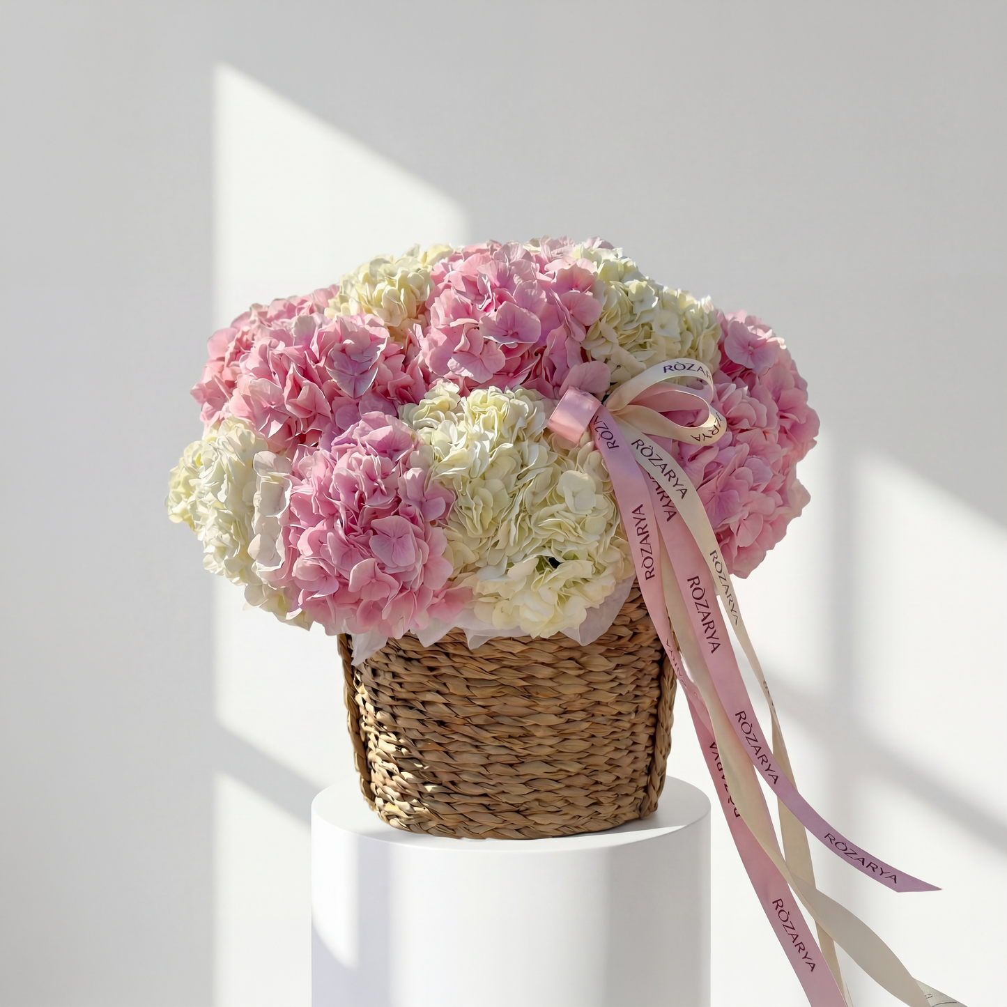 Cotton Blush Hydrangea Basket