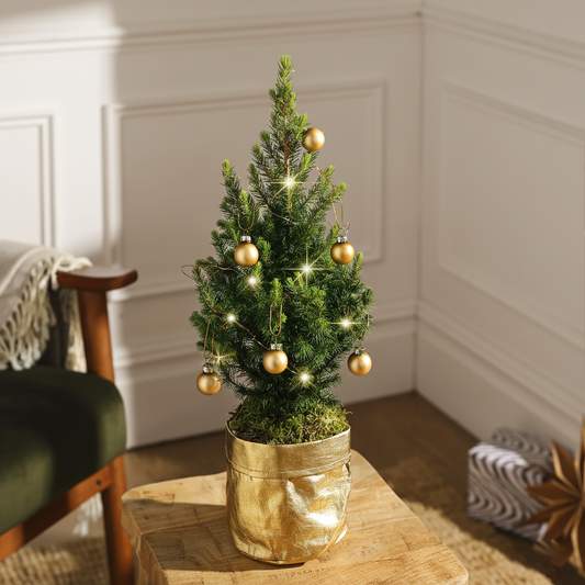 Gilded Mini Christmas Tree