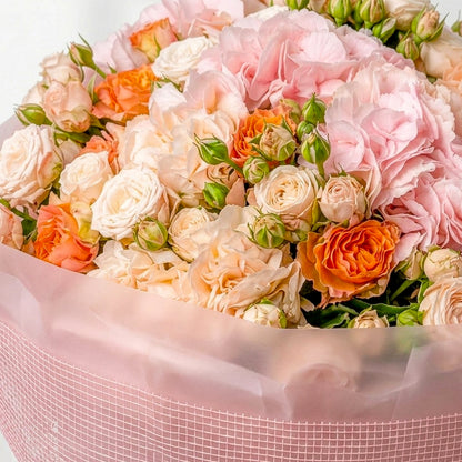 Peach Blush Harmony