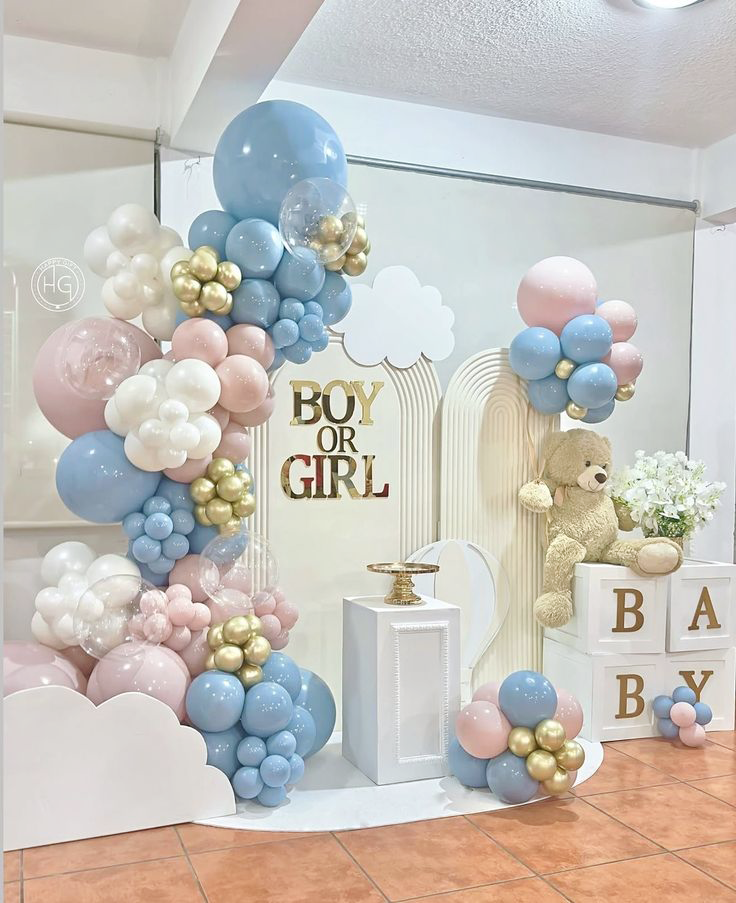 Elegant "Boy or Girl" Cloud Gender Reveal Decorations