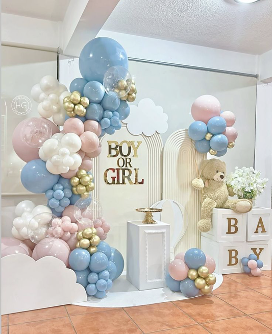 Elegant "Boy or Girl" Cloud Gender Reveal Decorations